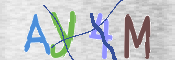 キャプチャ画像